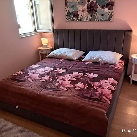 טרוגיר Villa Stella מראה חיצוני תמונה